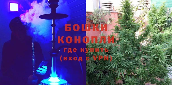 гашик Бронницы