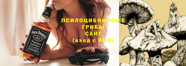 гашик Бронницы