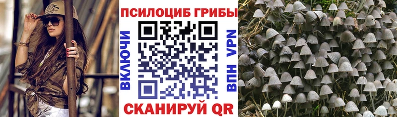 Галлюциногенные грибы прущие грибы  Ветлуга 